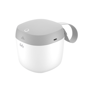 Dụng cụ tiệt trùng UV cầm tay Fazt FB4501TN